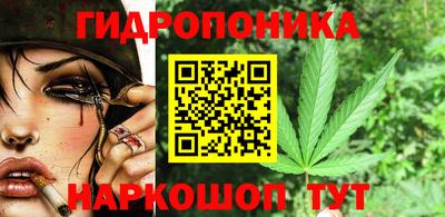 спиды Бердск