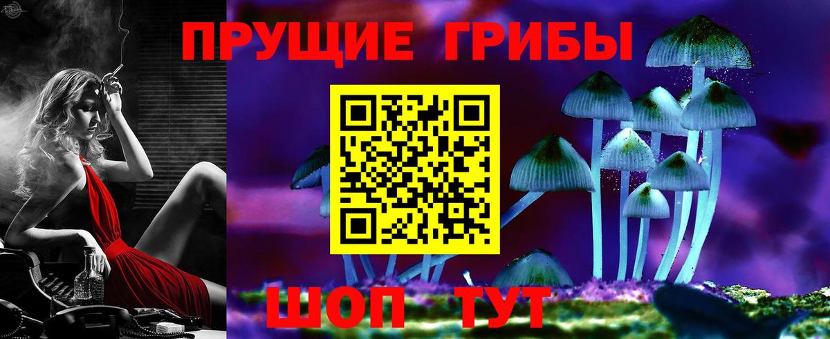 Десногорск  Псилоцибиновые грибы прущие грибы  Вход с VPN 